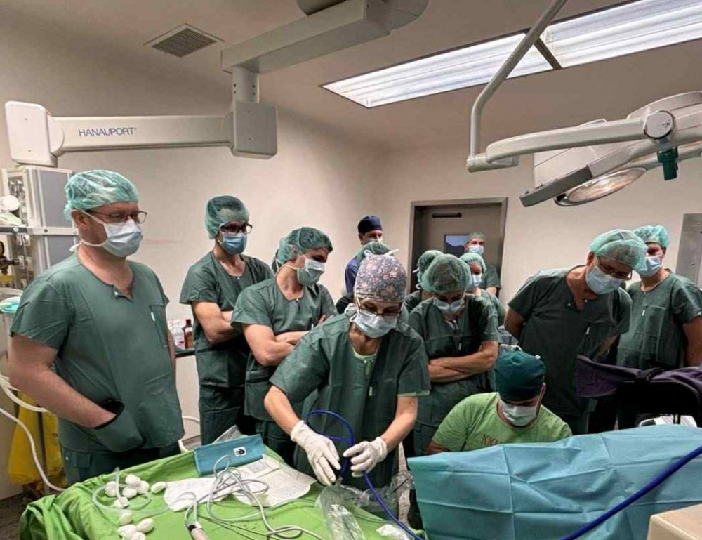 Gyors, biztonságos, államilag támogatott nőgyógyászati vizsgálat a halasi kórházban