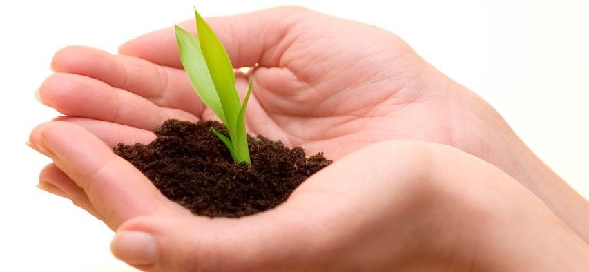 Fotókkal a környezet védelméért