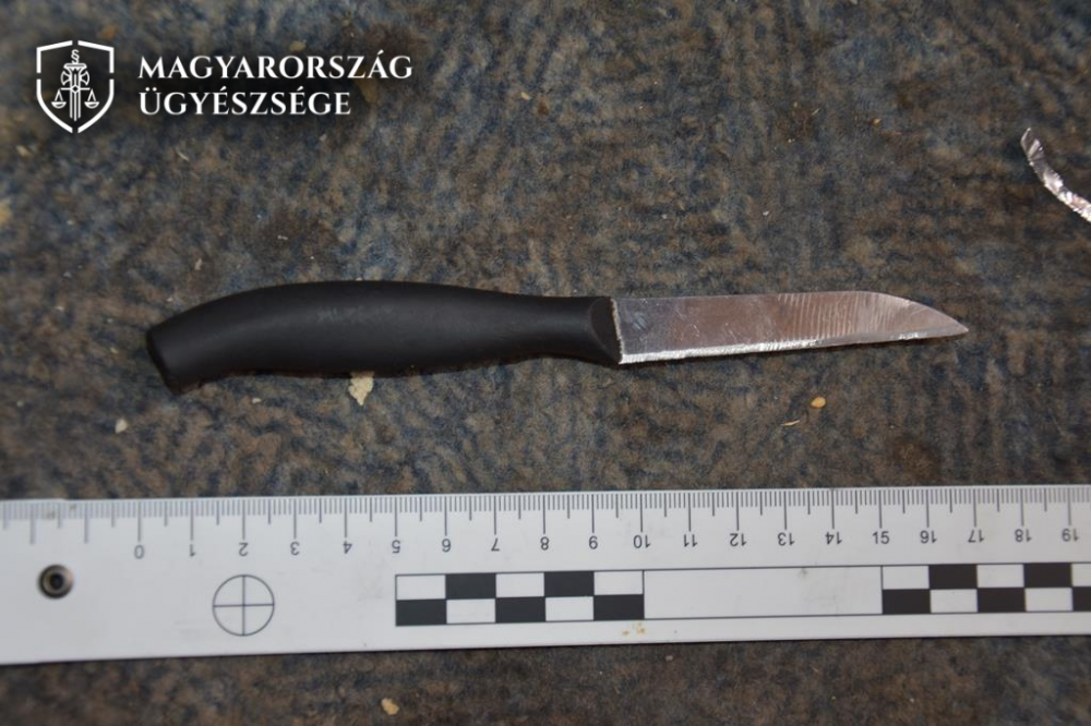 Betonvassal, kődarabbal ütötte, késsel fenyegette élettársát a halasi férfi