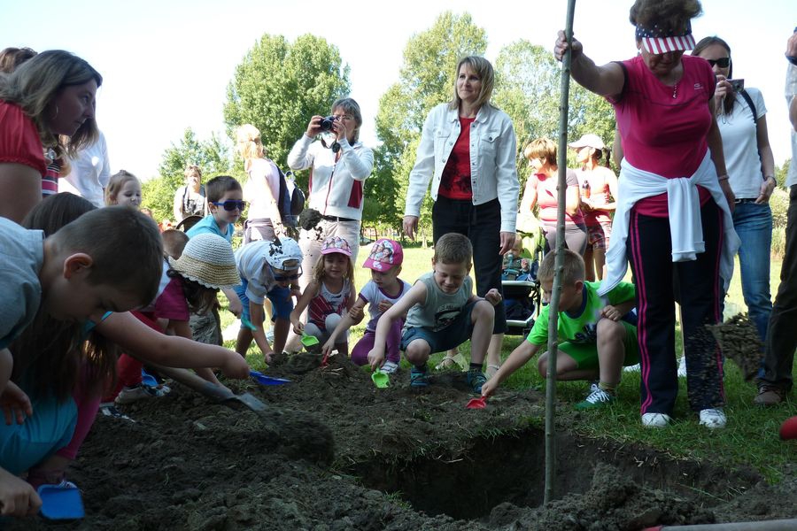 Ovisok az örökbefogadók