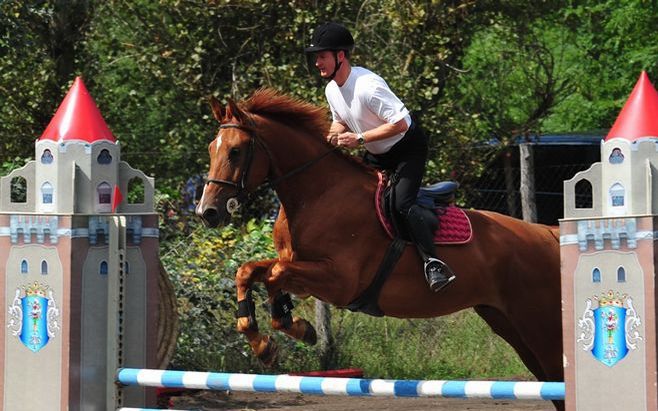 Szabad és idős lovasverseny