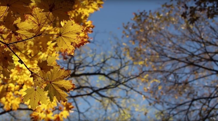 (►) Sóstó - ahogyan még soha nem látta