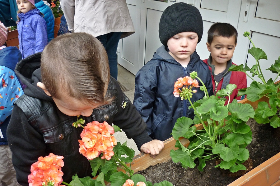 Virágba borulnak az óvodák