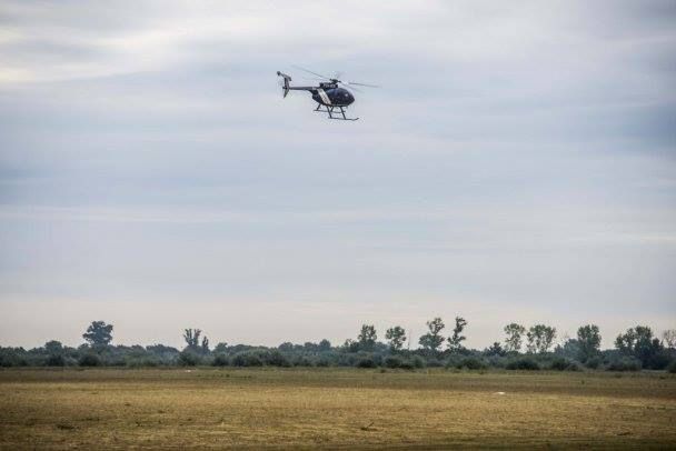 Légiriadó a parlagfű miatt