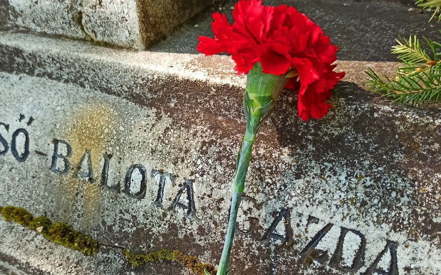 Trianonra emlékezés a régi halasi határban