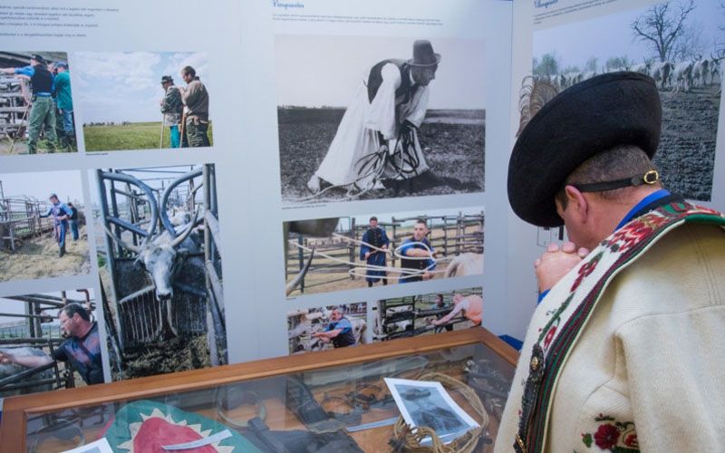 Pásztor-kiállítás a Végh-kúriában