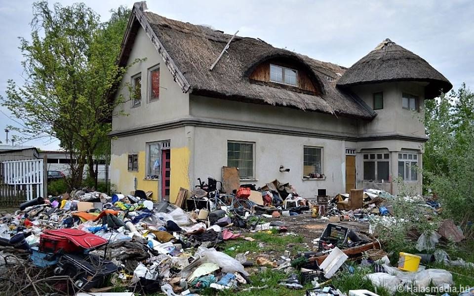 Mielőbb felszámolnák a patkányinváziót