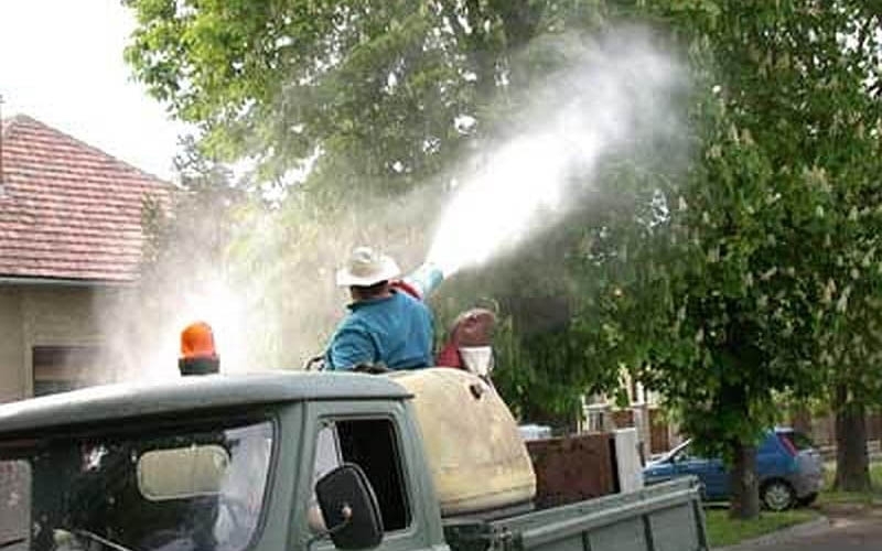 Permetezik a halasi gesztenyefákat