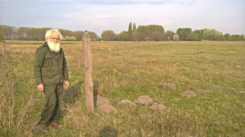 Élettel telik meg a mező