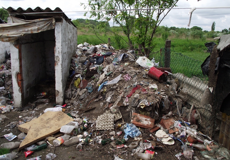 Kezdődik a patkányirtás