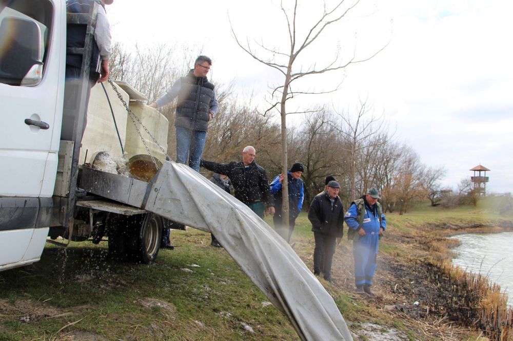 Fegyelmet kér a horgászelnök
