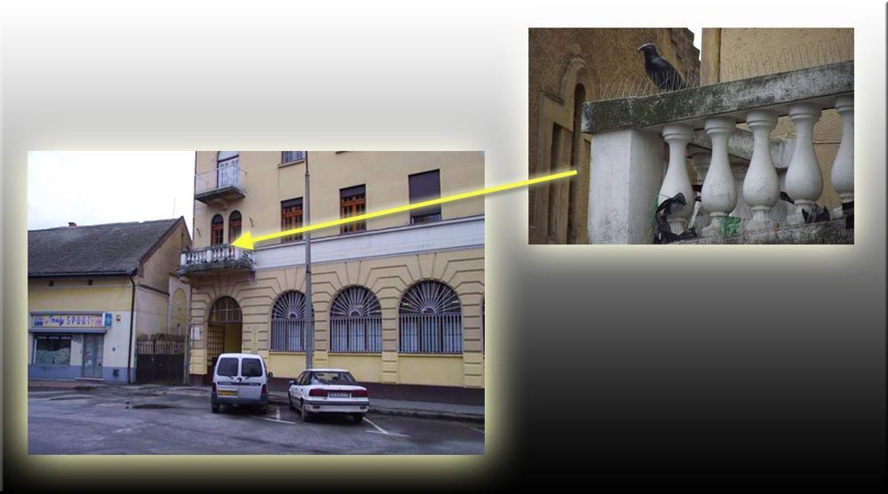 LEZÁRVA (2014.03.01.)