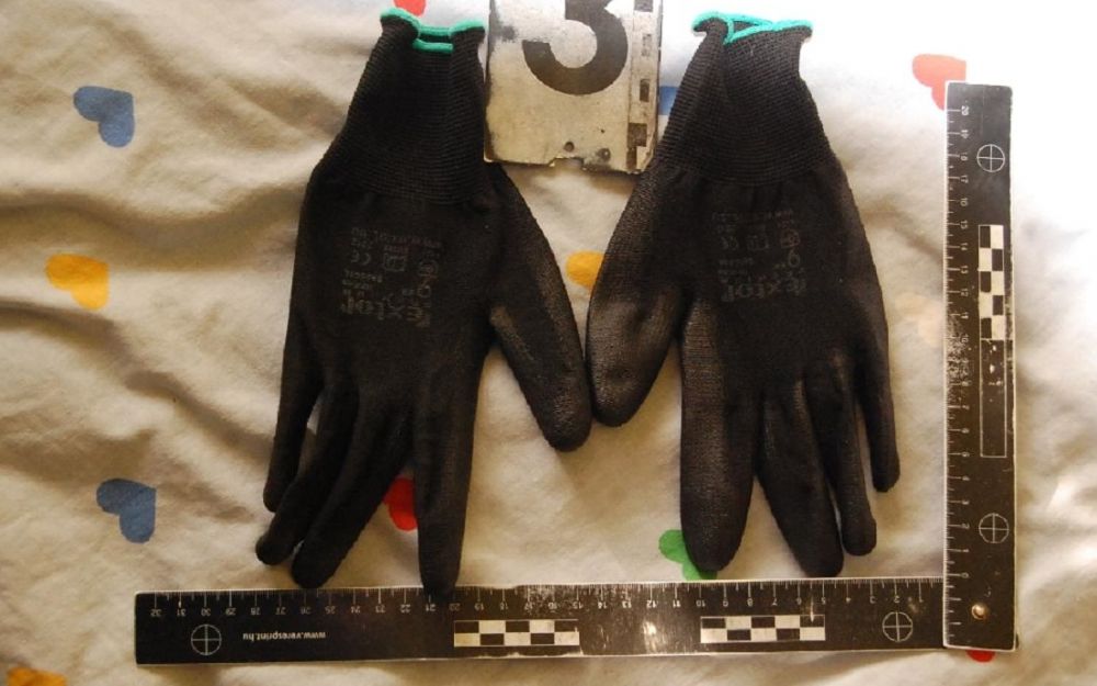 Kikényszerített randevú