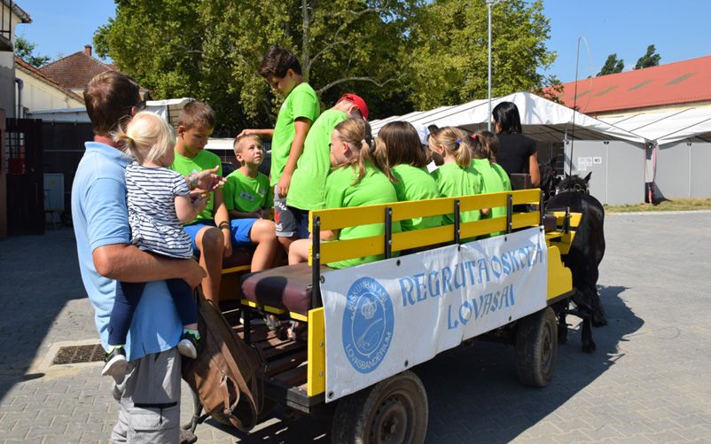 Regruta Oskola a Hirling József Lovasparkban