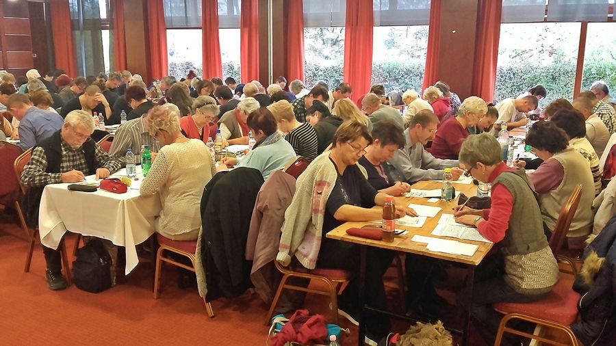 Halason fejtettek a legjobbak