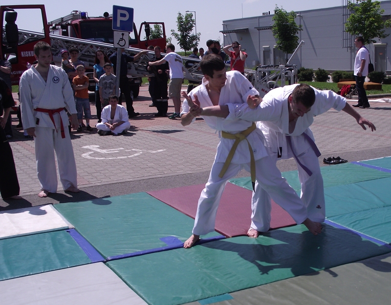 Családi nap, bemutatókkal