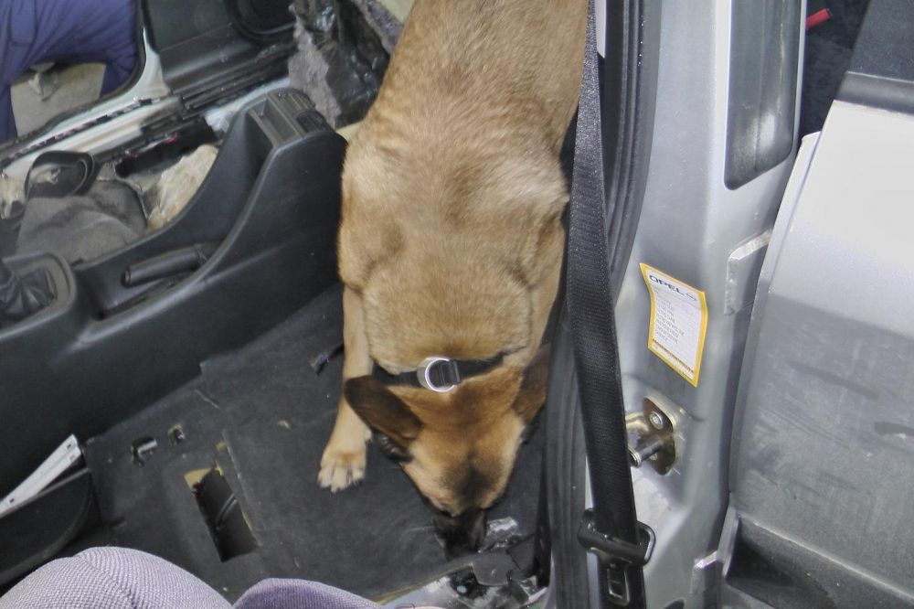 Drogot talált Renike