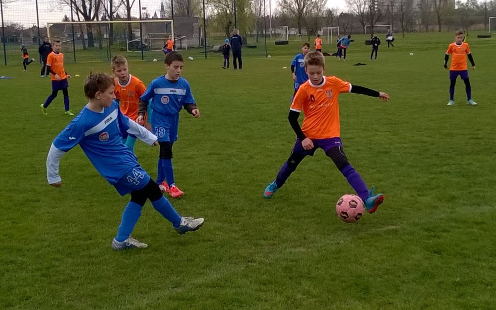 Több mint Kölyökliga