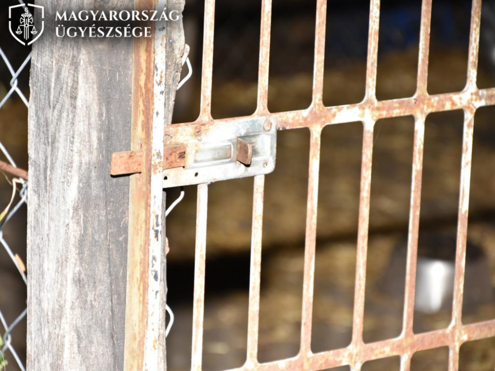 Vádat emeltek az életveszélyes sérüléseket okozó kutya gazdája ellen