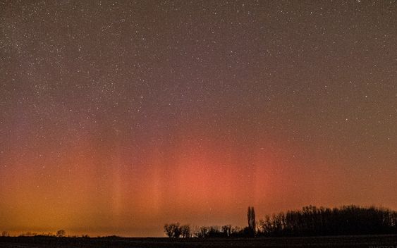 Sarki fény volt Vadkerten