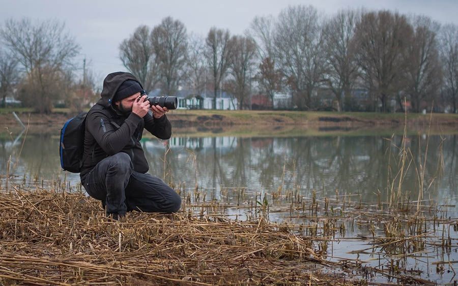 NG fotó lett a naplemente madarakkal