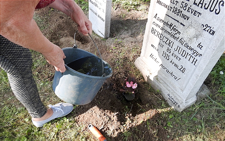 Pünkösdi virágok régi síroknál