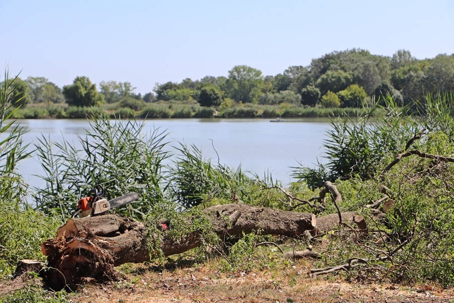 Tiszta, átlátható lesz a part