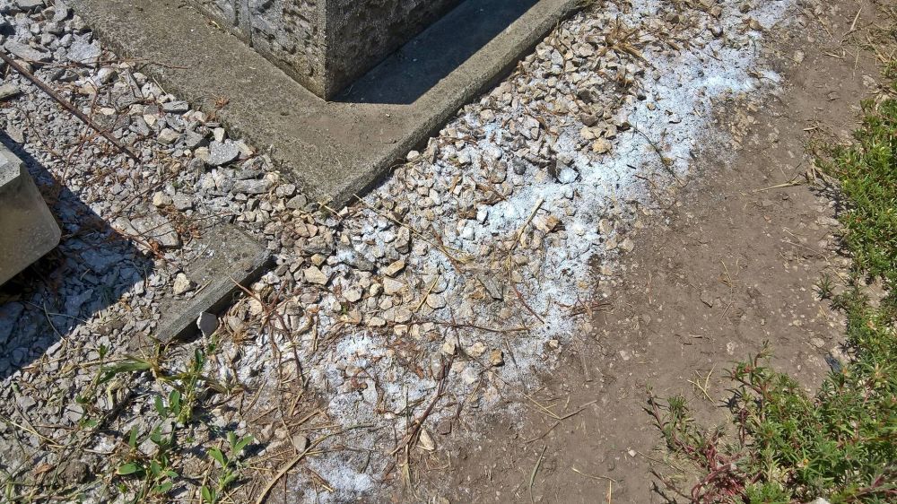 Ne sózzák, inkább kapálják!