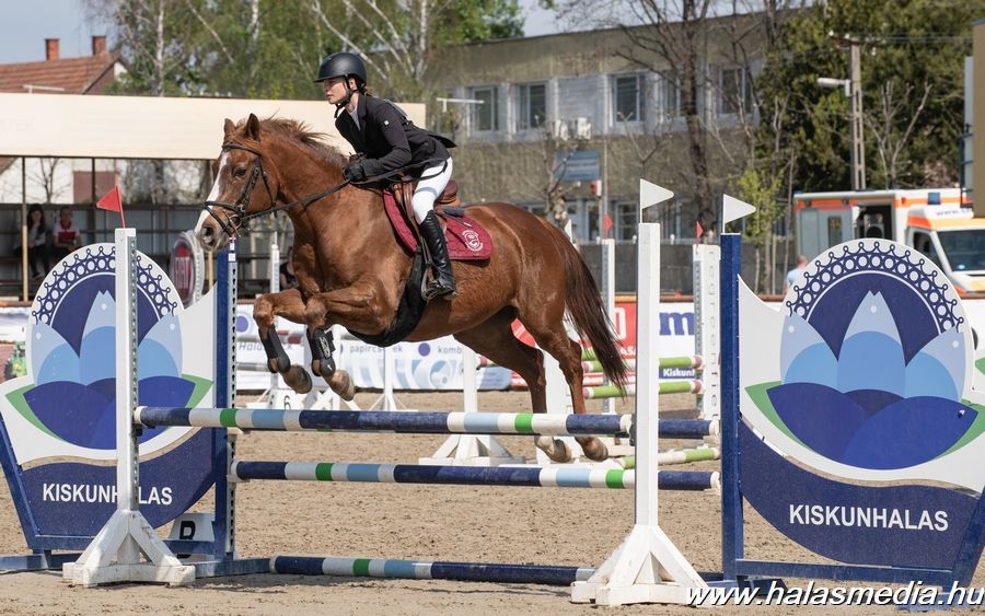 Rajtengedély vizsga, országos minősítő a lovasparkban (galéria)