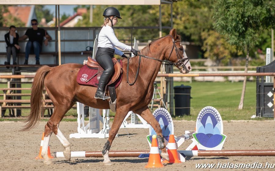 Sok induló, halasi sikerek a szabadidős lovas versenyen (galéria)