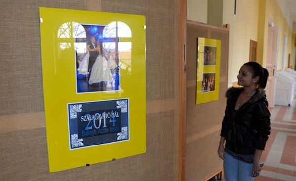 Megható és humoros pillanatok