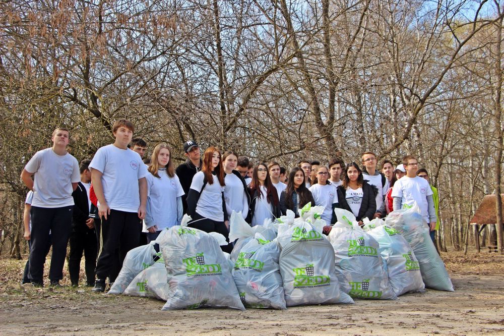 Kitakarították parkerdőt
