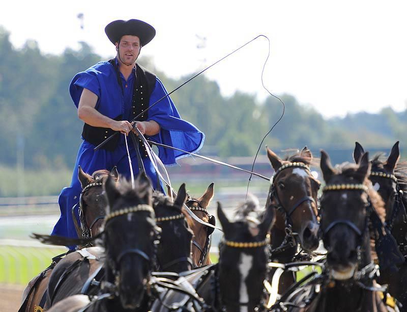 Sportkalendárium: 2014. október