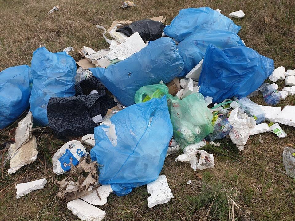 Pénzdíj a nyomravezetőnek