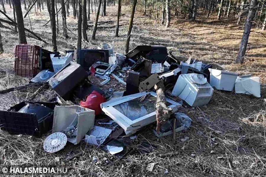 Pénteken rajtol a szemétszedési akció