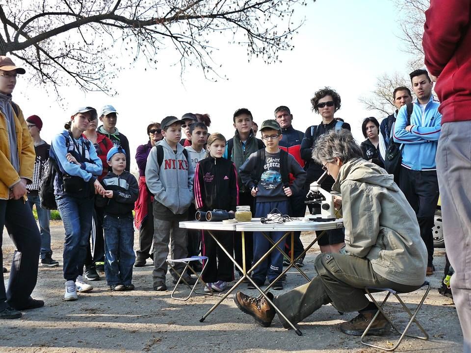 Követték a szennyvizet