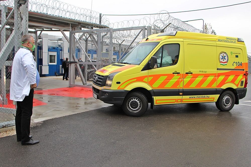 Ezek voltak a legolvasottabb cikkek a halasmedia.hu-n októberben