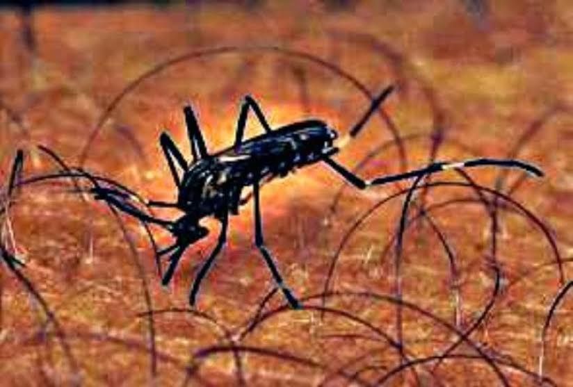 Unja, hogy csípik? Szóljon be!