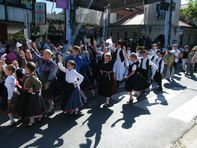 A szüret programjai