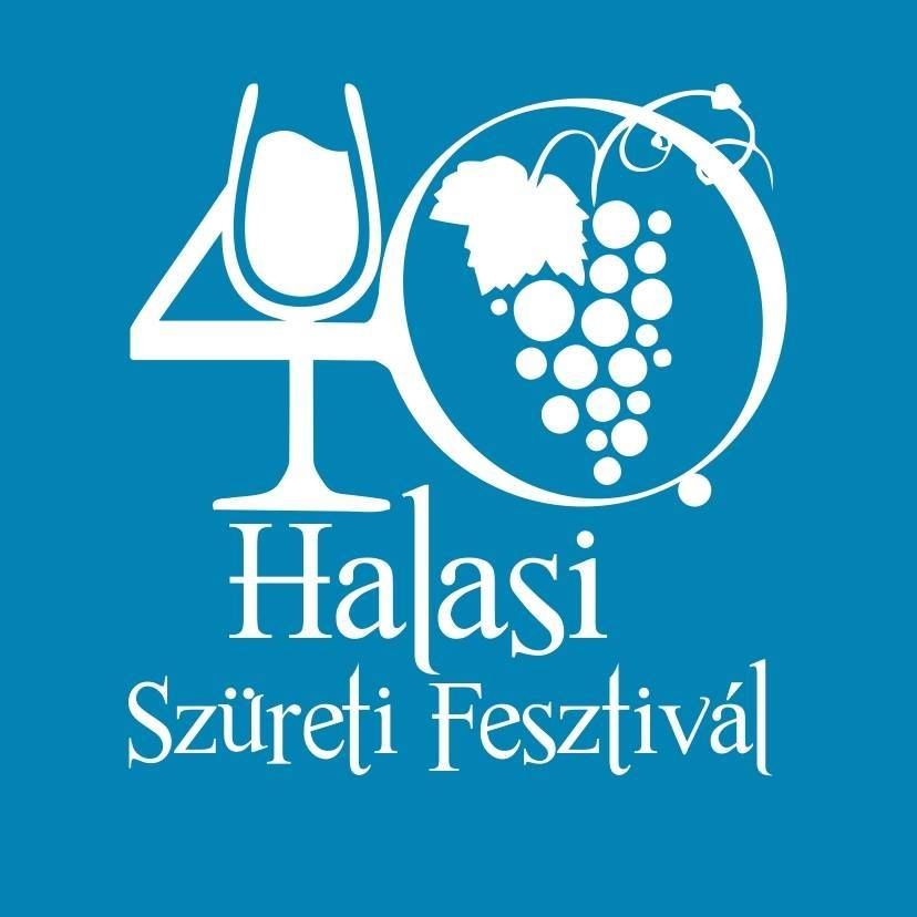 Szüreti Fesztivál: közösségi munka diákoknak