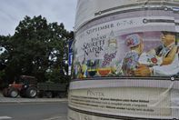 Szüretre készül a főtér