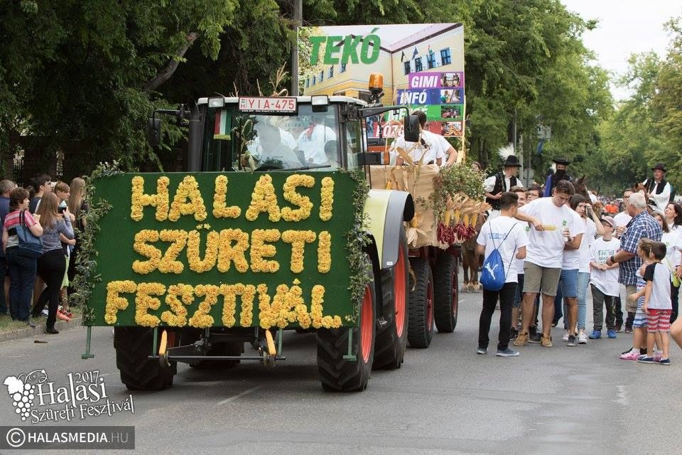Élőben közvetítjük a szüreti felvonulást