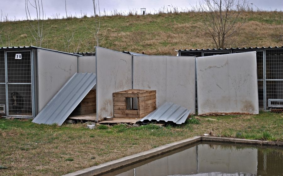 Megrongálta a szél a kenneleket