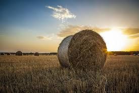 Hetvenhat bálát lopott