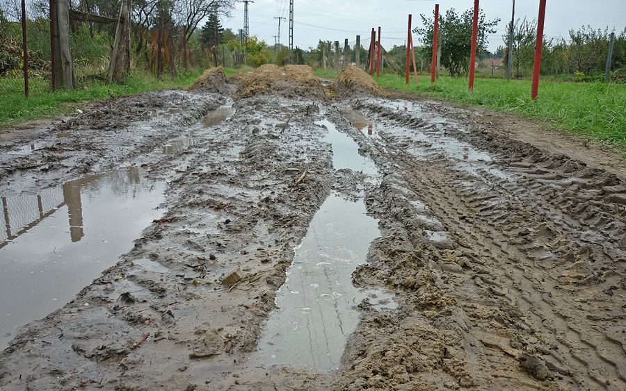 Dagonya a Partiszőlőkben