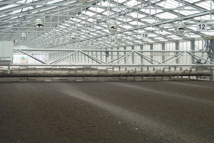 Ez lesz a halasi szennyvízből