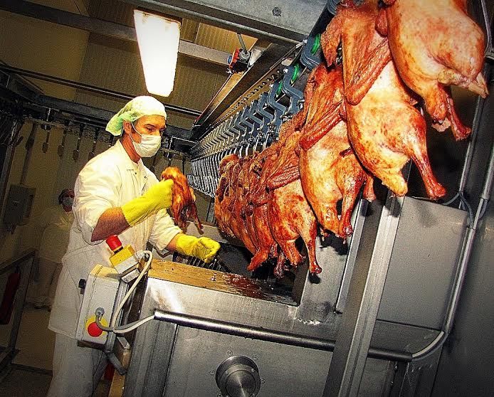 Halasi kacsa Kínába?!