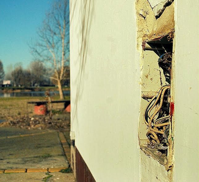 Esztelen barmok pusztítottak Sóstón