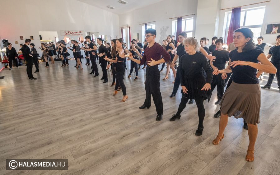 Stúdió 2000 TSE: Eredményes évet zártak, programokban gazdag 2024