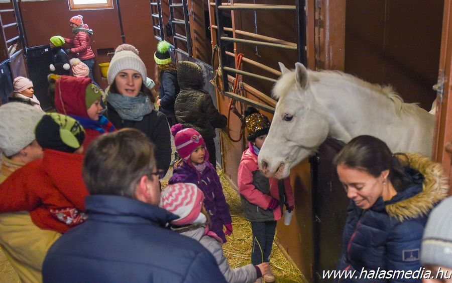 Hagyományőrzés, lóápolás (galéria)